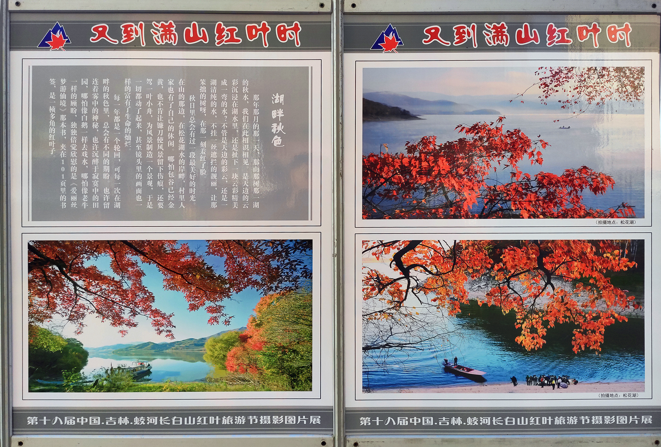 "又到满山红叶时"摄影图片展在人民广场民主路展出 - 蛟河市文化馆